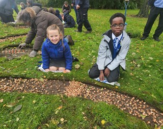 Bulb planting