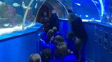 Reception Blue Reef Aquarium visit