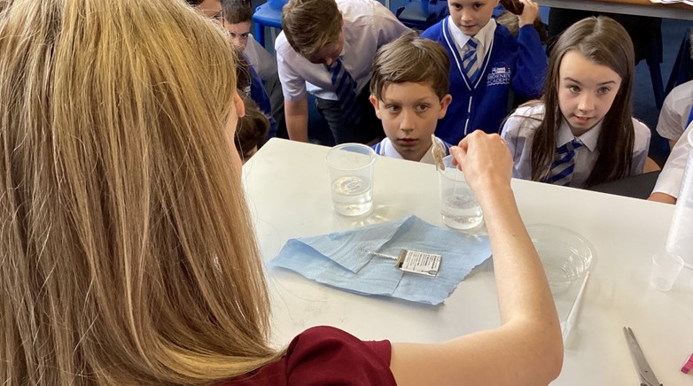 Year 5 science