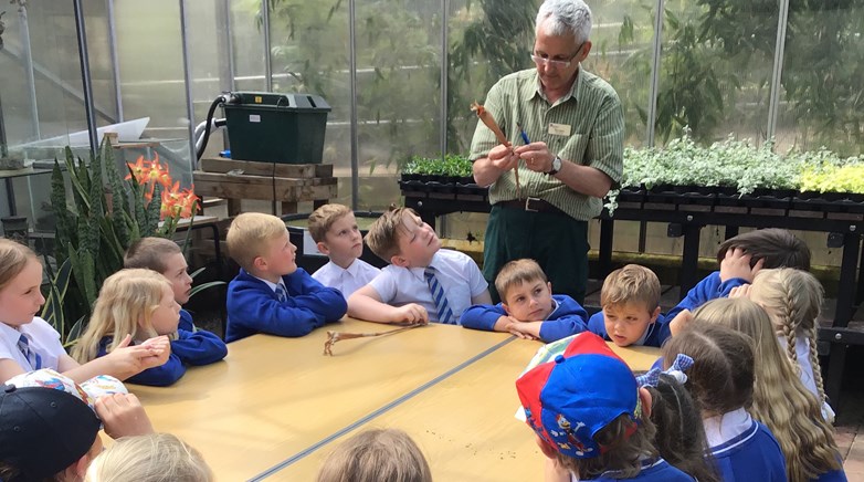 Year 2 & 3 botanical gardens