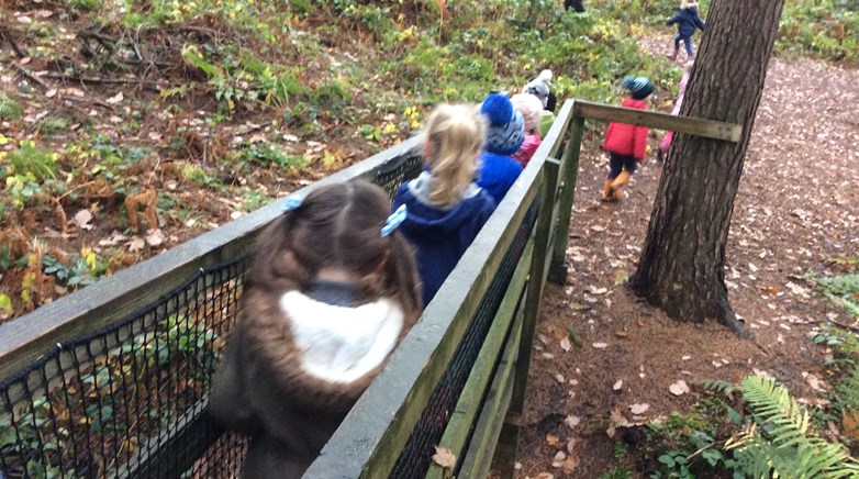 Outing to the farm