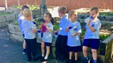 Healthy week 2017