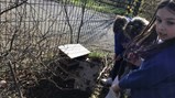 Year 5 science