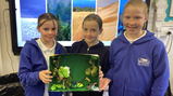 Year 5 Biomes- 7
