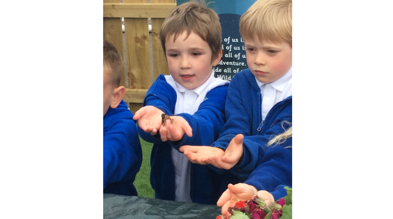 Reception caterpillars
