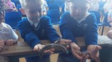 Aquarium trip! 
