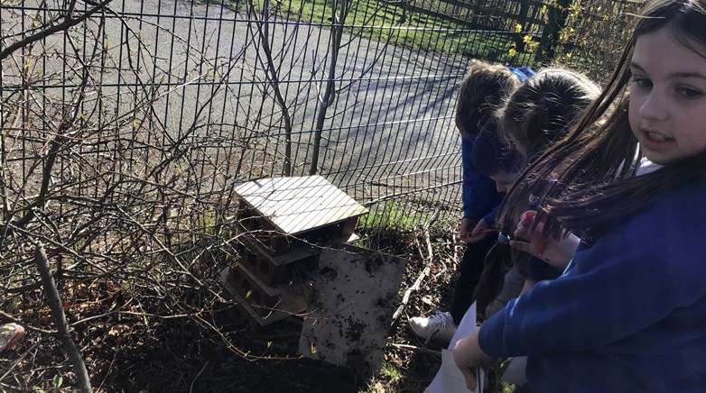 Year 5 science