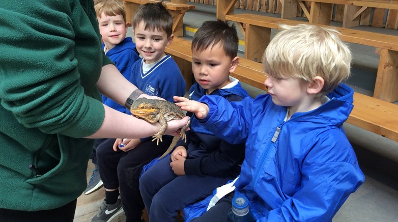 Northumberland Zoo