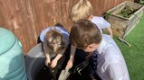 Reception gardening club