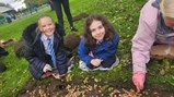 Bulb planting