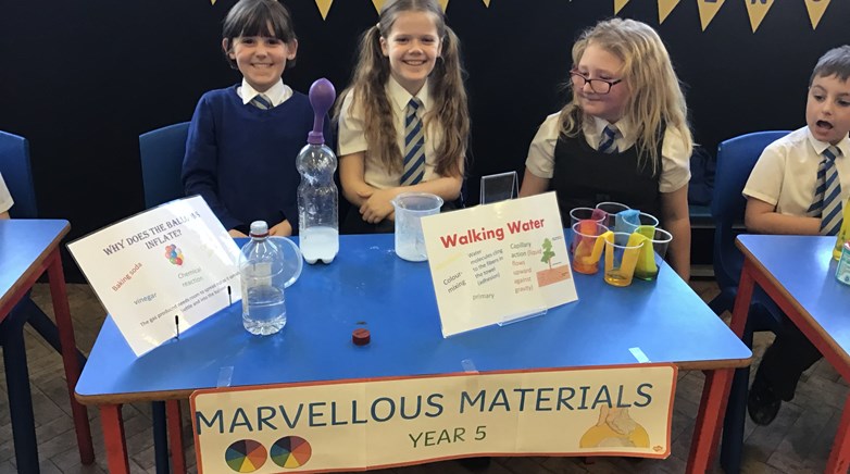 Science Fair Year 5