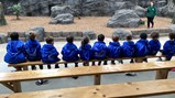 Northumberland Zoo