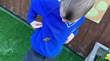 Butterfly garden