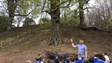 Year 2 & 3 botanical gardens