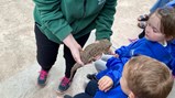 Northumberland Zoo
