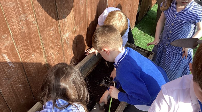 Reception gardening club