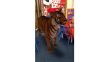 Tiger who came to tea