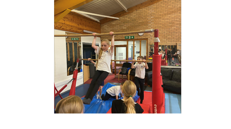Gymnastic visit 