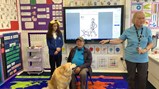 Guide dogs