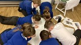 Year 4 and 5