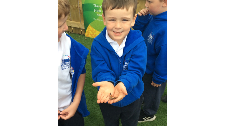 Reception caterpillars
