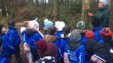 Trip to Broomhouse Farm 