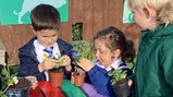 Gardening Club