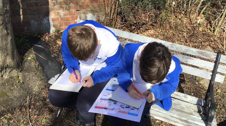 Year 5 science