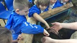 Reception Blue Reef Aquarium visit