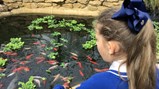 Year 2&3 botanical trip