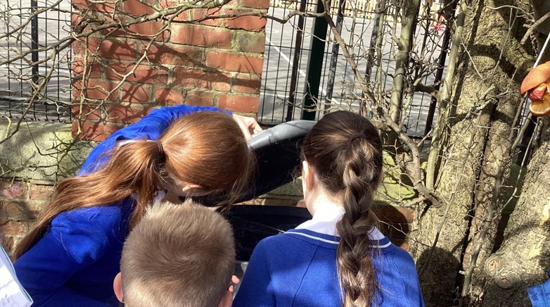 British Science Week