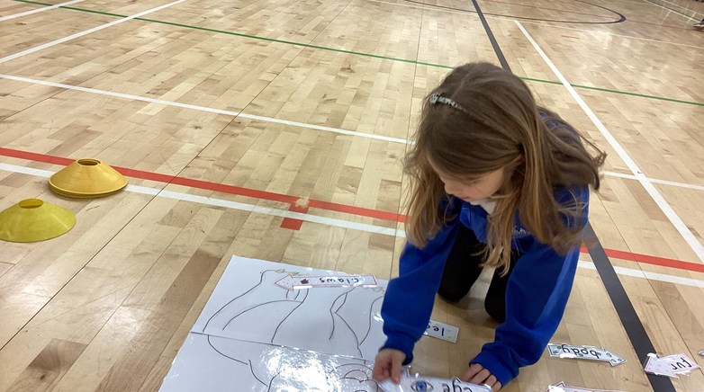 Reception bear hunt