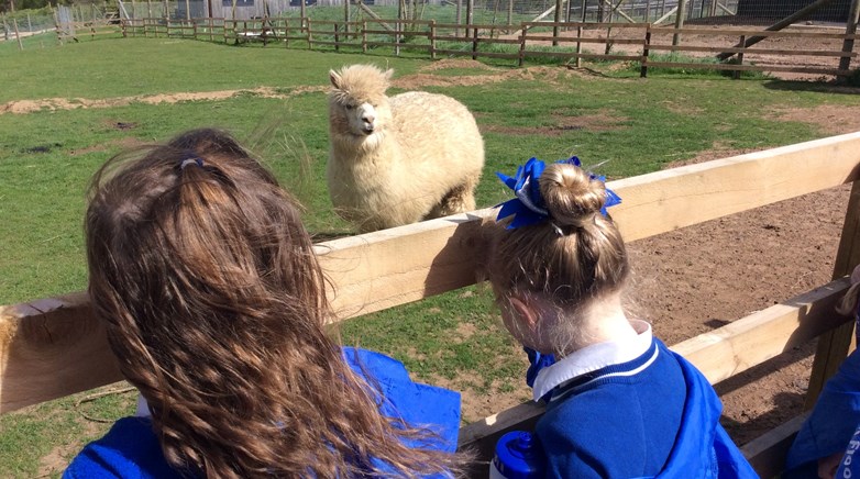 Northumberland Zoo