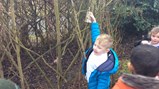 Reception class make bird feeders 