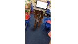Tiger who came to tea
