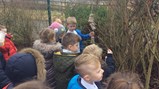 Reception class make bird feeders 