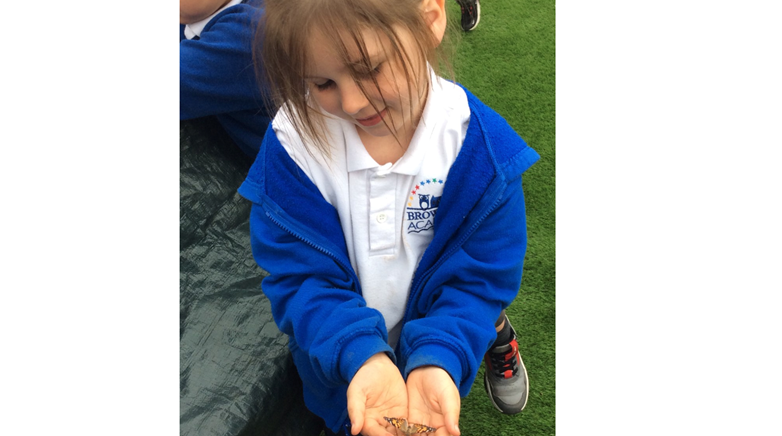 Reception caterpillars