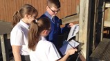 Year 4 and 5 discover treasure! 