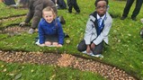 Bulb planting