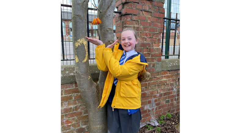 Eco Council