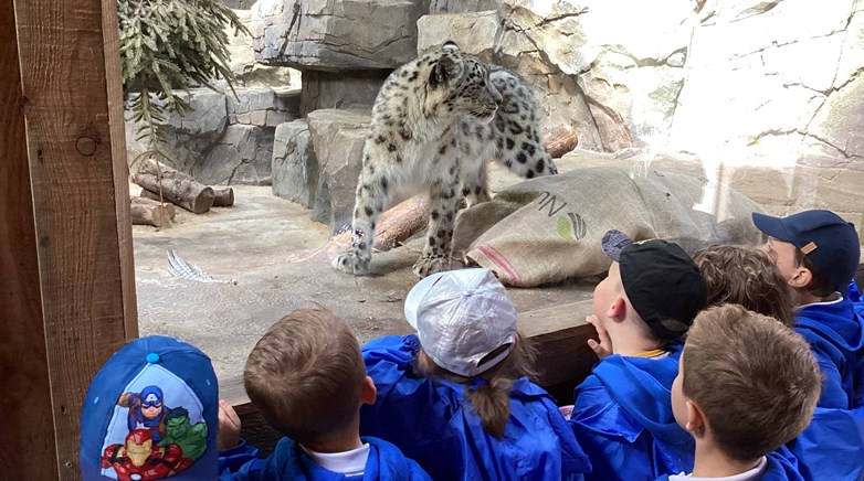 Northumberland Zoo