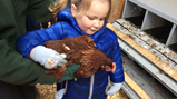Farm trip