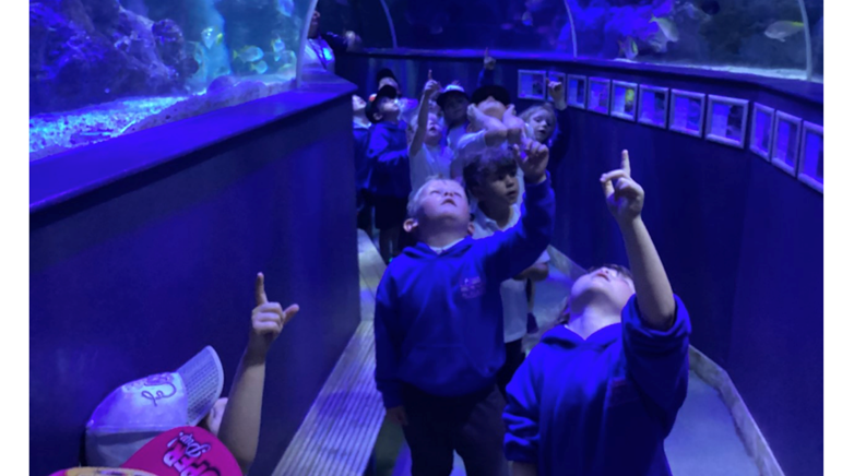 Reception trip