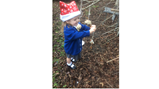 Bird feeders