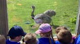 Northumberland Zoo