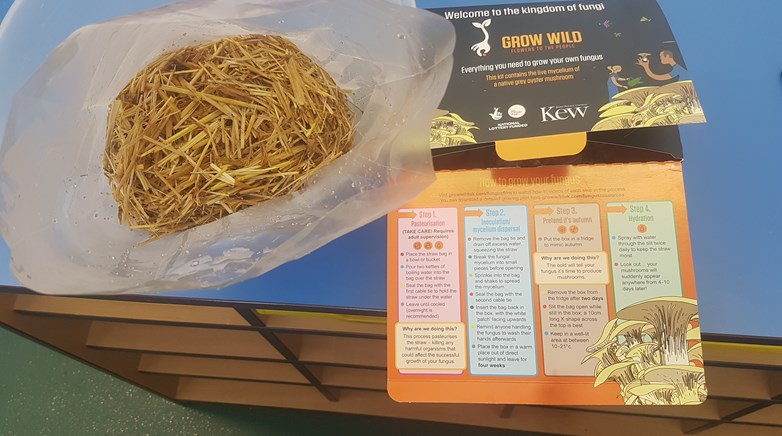 Keep calm the fungus kit has arrived!