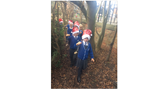 Bird feeders