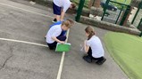 Year 5