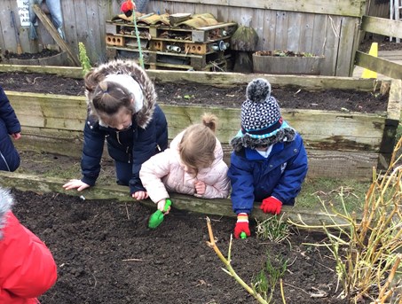 Reception spend the day at the Farm