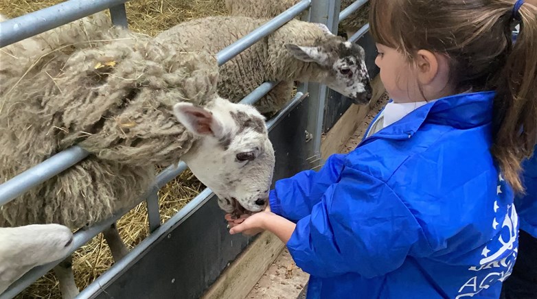 Farm Visit